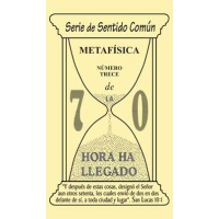 #13 Metafísica - ePub
