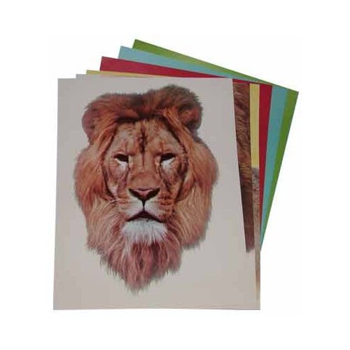 Caras de los Animales - Papel